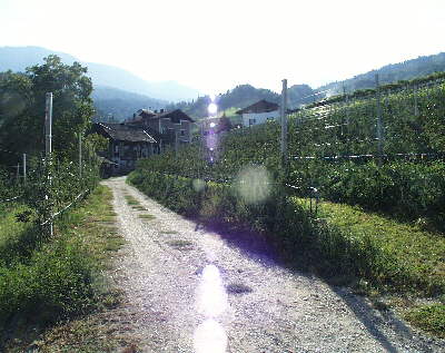 einfahrt